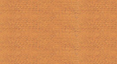 Нитки Madeira Rayon №40, 200м, Art. No. 9840